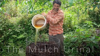 The Best Way to use Urine as Fertilizer