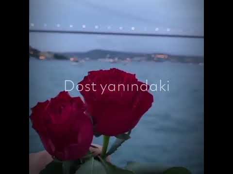 🥀💔... Whatsapp ucun maraqli, MƏNALI statuslar, status ucun videolar, QEMLİ WHATSAPP STATUSLARI 2022