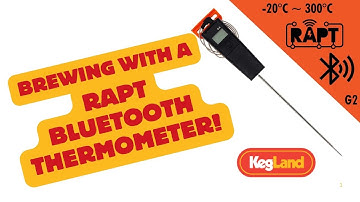 Full Brew Day with a RAPT Bluetooth Thermometer & BrewZilla!