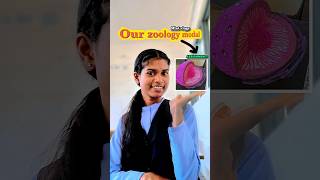 #our zoology ka assignment modal 😰 #minivlog #shortsfeed #vlog #minivlog #collegeassignment