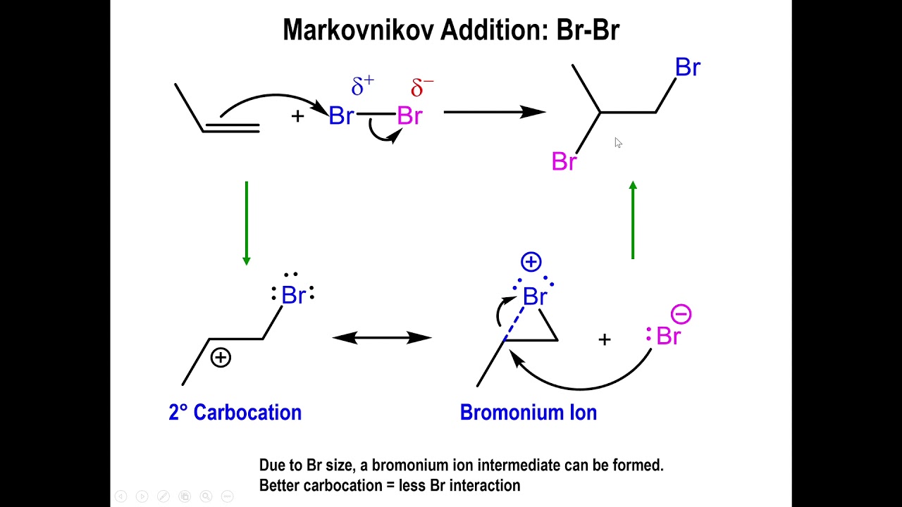 Lec11 Addition of chlorine and bromine to Alkenes and the Bromonium