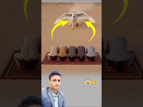 المنكسرين وجدهم س ج د ا سجد معهم مشهد أبكى القلوب سبحان الله اكسبلور لايك Shorts 