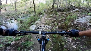Most Beautiful Mountain Bike Trail in South Carolina? Wine Creek Trail
