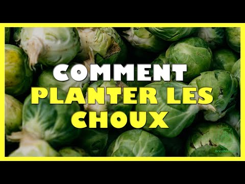 Vidéo YouTube