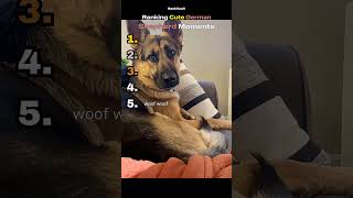 CUTE GERMAN SHEPHERD Moments Ranked