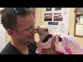 Baby Capuchin Monkey Rescue Drinks her Bottle and Gives Kisses!