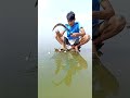unique fishing idea with flour bait  #fishing #fishinglife