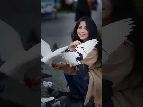 اول فيديو لفضل شاكر بعد اعلان براءته صحاك الشوق من نومك  اكسبلور تصميمي  