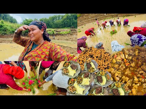 Hamro vakari rakhera ropai and mutton special😊lagatar 3dinko looks khetko#siruthapamagar#vlog ￼