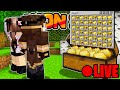 VI MOSTRO LE MIE CASSE SEGRETE SU MINECRAFT VANILLA! Lyon SMP #36