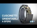 Cuscinetti Orientabili a sfere