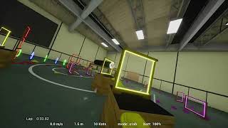 Tiny Whoop GO vs The Real Thing