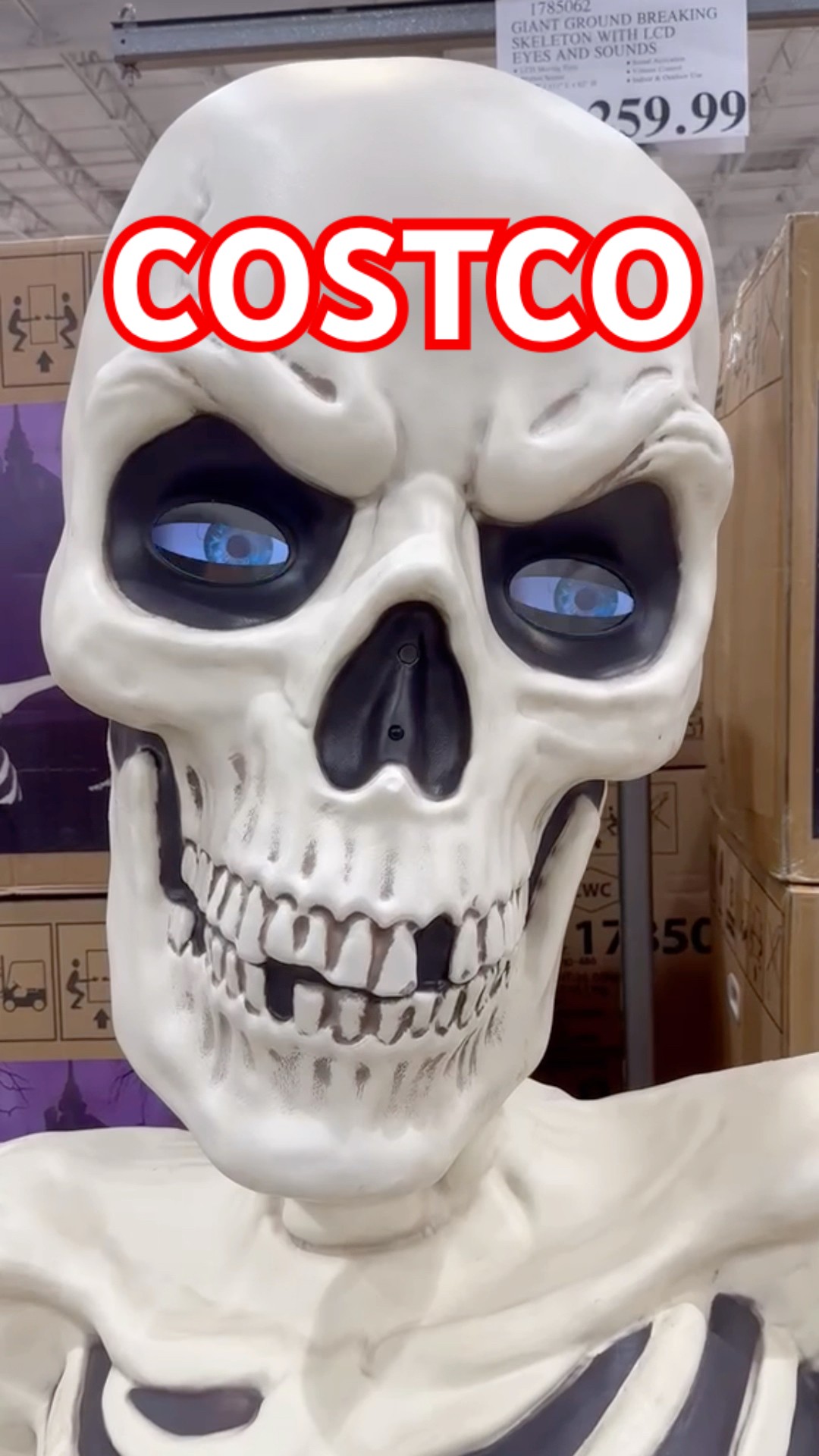 COSTCO HUGE SKELETON 💀 - YouTube