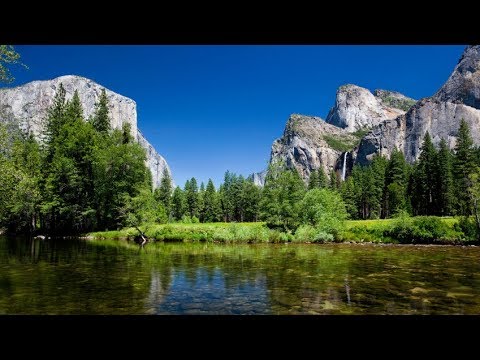 Video: Giant sequoia: yees duab. Qhov twg loj sequoia loj hlob?