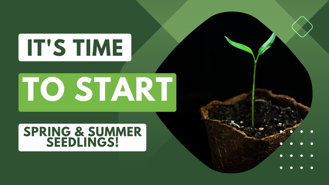 It's Time to Start Spring & Summer Seedlings - Treasure Valley Idaho