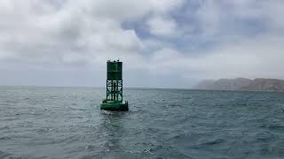 Drakes Bay Jul 2021. Approaching