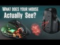 How does a Mouse know when you move it?  ||  How Does a Computer Mouse Work?