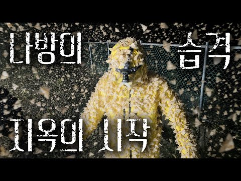 경악주의※ 역대급 재앙이 나타났습니다. 만지면 치명적인 매미나방의 습격을 대비해야 합니다.