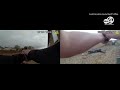 Bodycam video shows Pee Dee murder suspect's arrest in New Mexico deputy-involved shooting