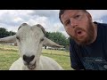 30 minutes of the greatest goats of all time