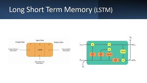 Long Short-Term Memory (LSTM) Explained