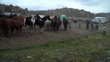 Hunewill Ranch Cattle Drive 2009 - Part 2