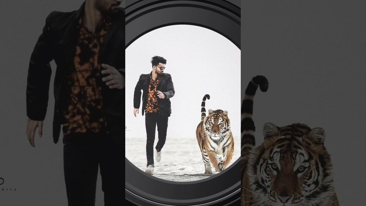 Tiger photo 😳 editing PicsArt tutorial / 