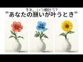あなたの願いが叶うとき🌠