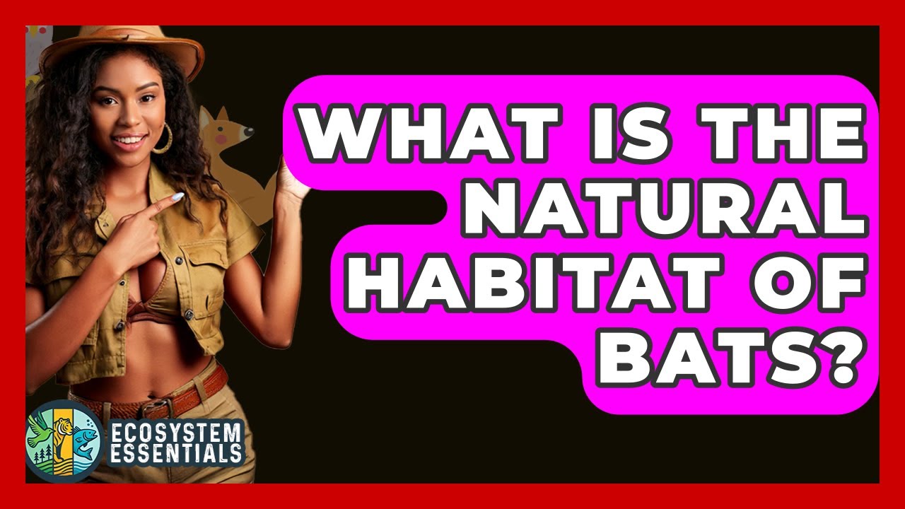 What Is The Natural Habitat Of Bats? - Ecosystem Essentials