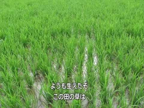 在 YouTube 上观看 田の草取り唄は