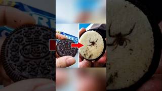 Dead Animals Found In Your Favorite Food! 😱#facts #animalfacts #wildlife