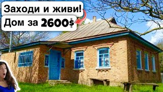 🇺🇦 Заходи и живи! Дом в селе за 2600$ Продажа недвижимости за копейки! Всё есть Уютное, тихое село