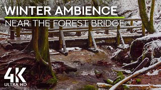 White Noise of a Forest Winter Stream for Relaxation & Fast Falling Asleep - 4K Winter Forest Bridge