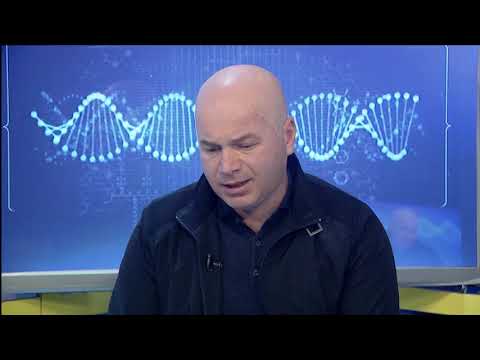 იმპულსი-მთავარი თემა: რა პათოლოგიის გამოვლენა არის შესაძლებელი ექოსკოპიური გამოკვლევით