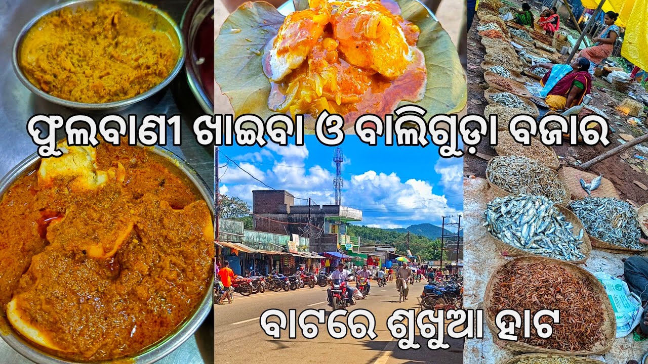 ବାଟରେ ଶୁଖୁଆ ହାଟ ଓ ଭଲ ଖାଇବା ହେଲା l Phulbani to Balliguda l Kandhamal EP 3 l Gouranga Nayak Odia Vlogs