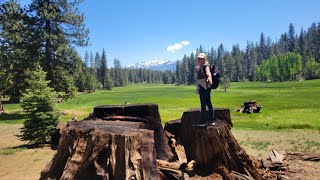 Soulshine Sequoia Kings Canyon Allman Brothers Band