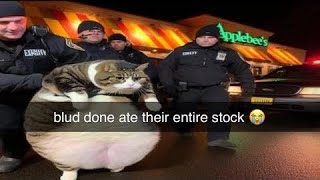 Offensive Memes pt87