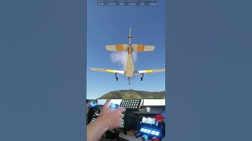 NeoFly | YWOA RWY17 Approach | #rastaolo on #Twitch