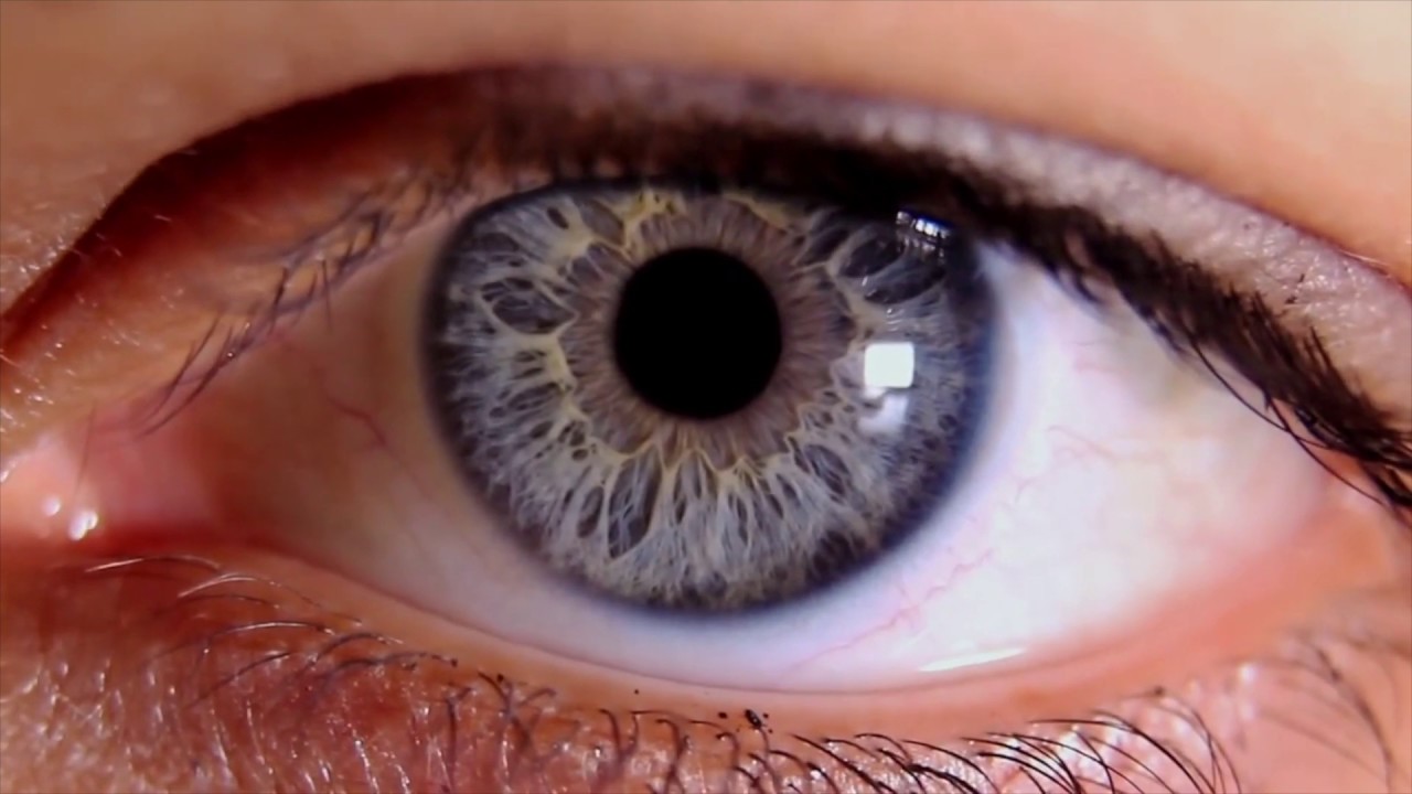 iLux Treatment of Dry Eye Disease in Halifax | Restore Comfort with Insight Optometry