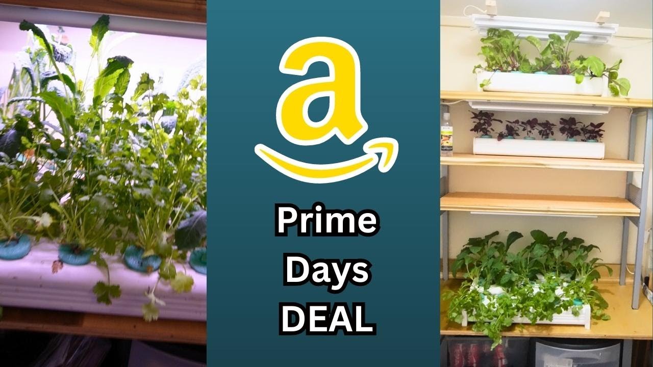 Grow lights that i use are on sale amazon prime days plus coupon youtube