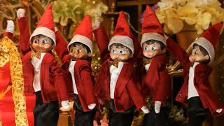 12 Days of Elf on the Shelf: Movie Musicals Day 2 - Hello Dolly by loadofscrap 134 views 1 year ago 17 seconds