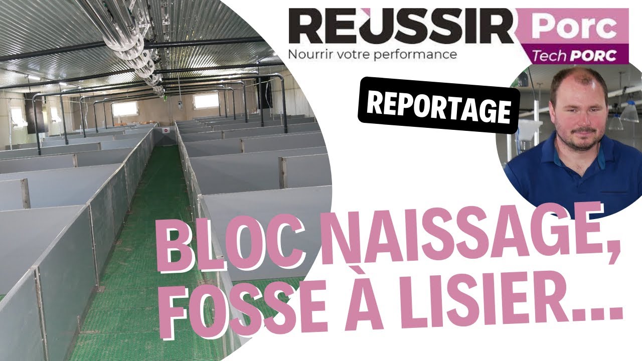Confort de travail, bien-être animal, et respect de l'environnement : la rénovation du Gaec Bernard