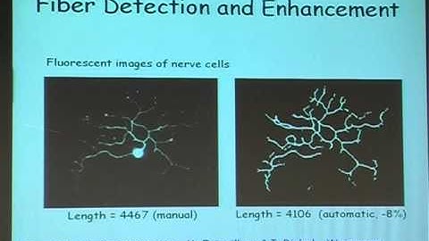 Detecting Faint Edges in Noisy Images -- Prof. Ronen Basri