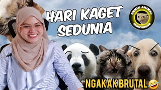 HEWAN HEWAN APA YANG KOCAK⁉️DEMIK ANIMAL😂 | REACTION DEMIK ANIMAL PART2