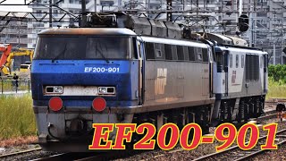 【EF200-901】無念の帰還　最後の回送・・・その後車籍が抜かれ展示へ