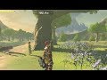【ブレワイ(BotW)】鳥人間コンテスト中に、花を踏んで溺れてみると面白いと聞いて【ドリカラ】