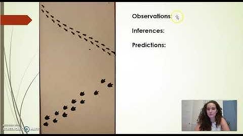 Inferring & Predicting