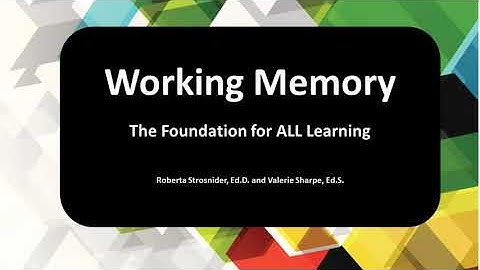 Institute on Executive Functioning: Working Memory Video Trailer