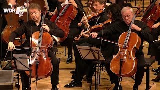 Bernhard Romberg Concertino for 2 Cellos Oren Shevlin, Johannes Wohlmacher, Reinhard Goebel