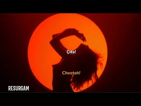 Jackson Wang - Cheetah - Türkçe çeviri (Lyrics ile)